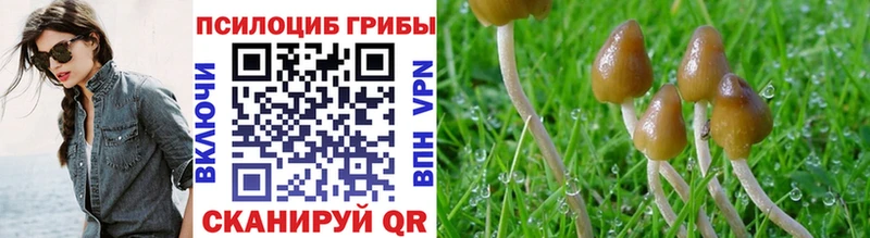 Купить где  Воронеж  Галлюциногенные грибы MAGIC MUSHROOMS
